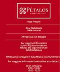 Pétalos – Rose ecuadoriane Milano