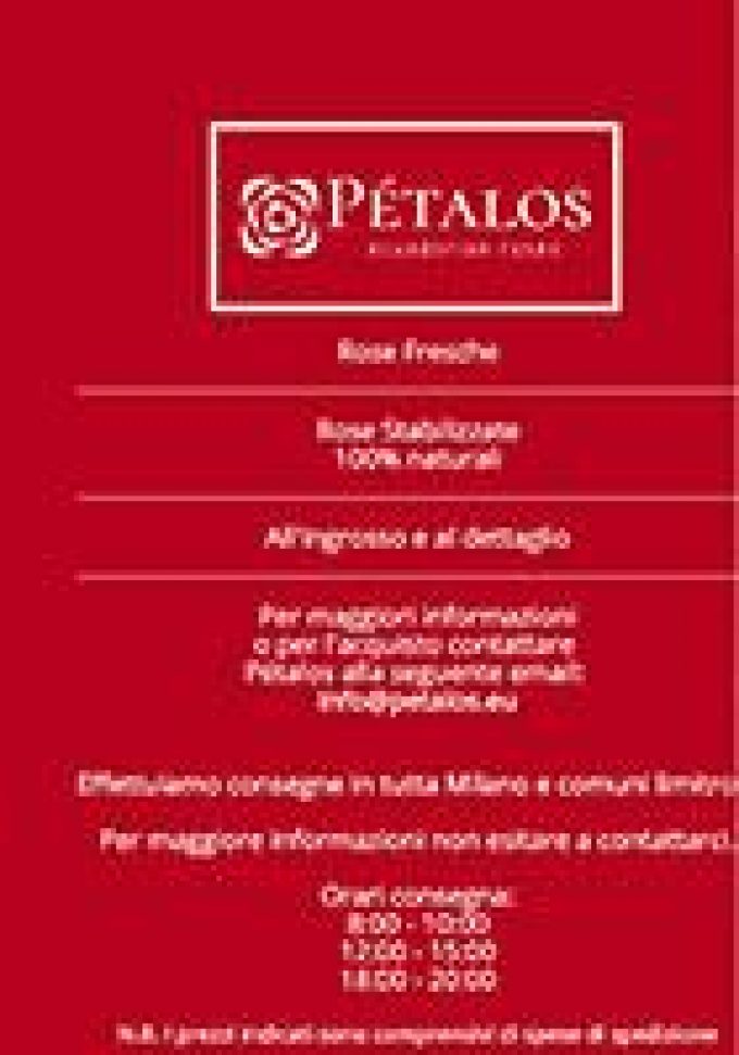 Pétalos &#8211; Rose ecuadoriane Milano